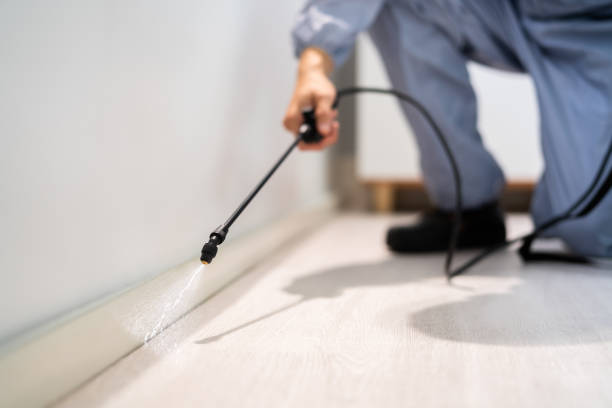 Licensed Pest Control service in Edna, TX - Show Me Pest Control